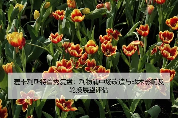 麦卡利斯特首秀复盘：利物浦中场改造与战术影响及轮换展望评估